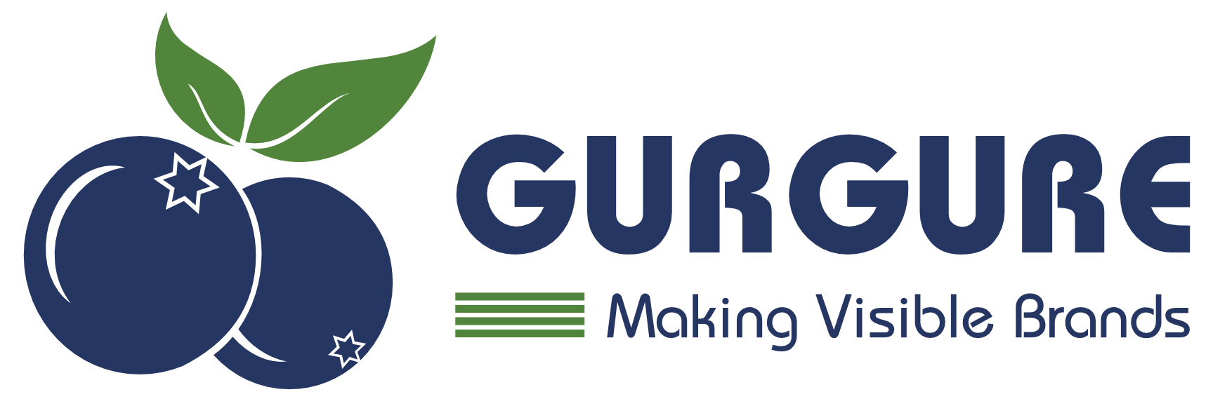 GURGURE: Making Visible Brands